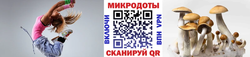 Купить закладки  Дальнегорск  Галлюциногенные грибы Psilocybe 