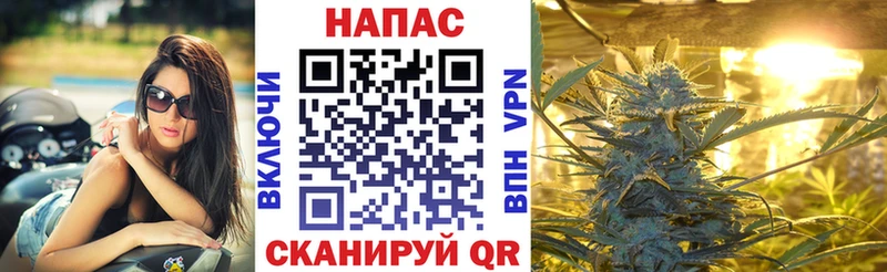 МАРИХУАНА VHQ  Купить закладки  Дальнегорск 